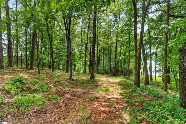 1875 Cleo Chapman Highway, Sunset, SC 29685