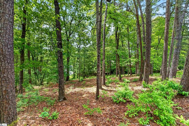 1875 Cleo Chapman Highway, Sunset, SC 29685