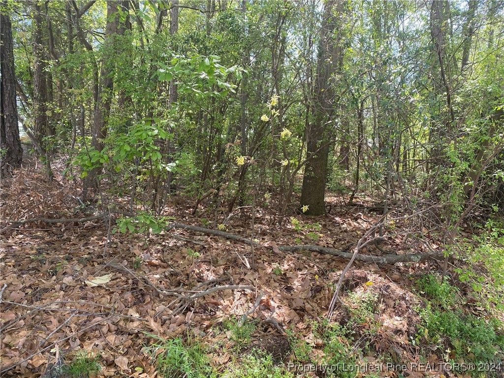 1450 Pamalee Drive, Fayetteville, NC 28303 — photo 2