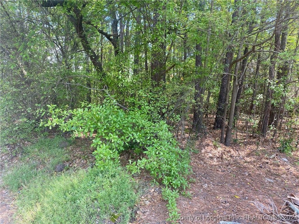 1450 Pamalee Drive, Fayetteville, NC 28303 — photo 4