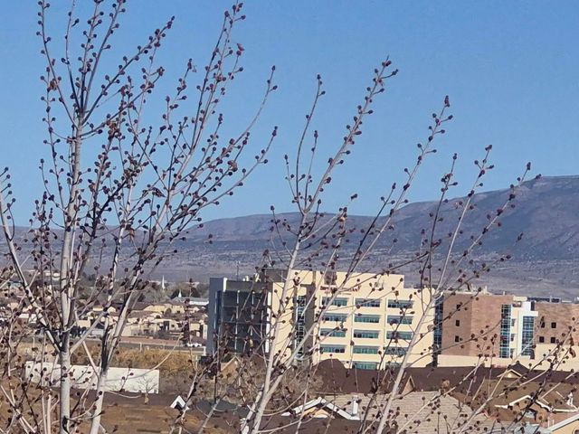 11008 Milky Way Street NW, Albuquerque, NM 87114