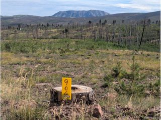 904 Ueda Pl, Fort Garland, CO 81133