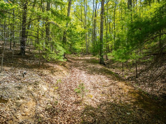 LOT 5 High Country Lane, Morganton, GA 30560