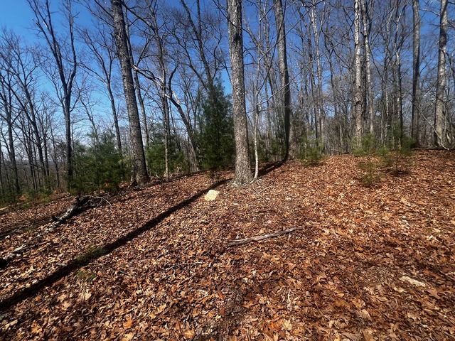 LOT 5 High Country Lane, Morganton, GA 30560