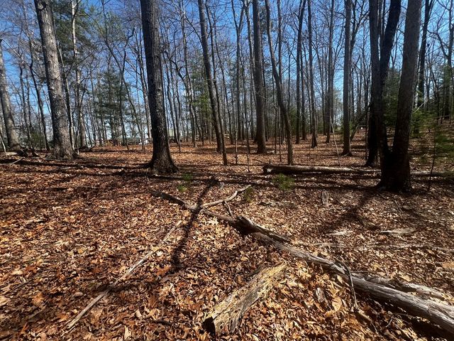 LOT 5 High Country Lane, Morganton, GA 30560