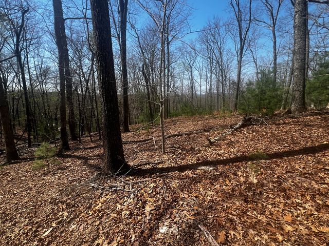 LOT 5 High Country Lane, Morganton, GA 30560