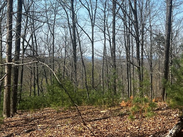 LOT 5 High Country Lane, Morganton, GA 30560