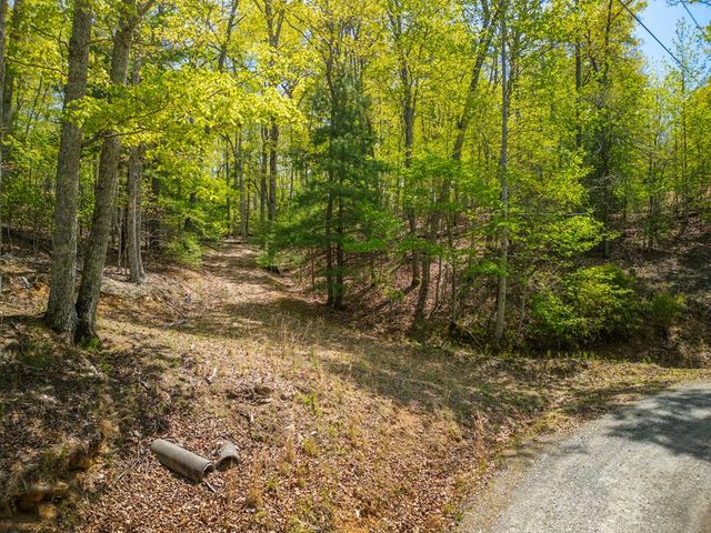 LOT 5 High Country Lane, Morganton, GA 30560