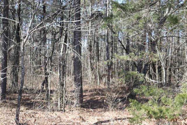 2173 Pleasant Grove Loop, Cleveland, AR 72030