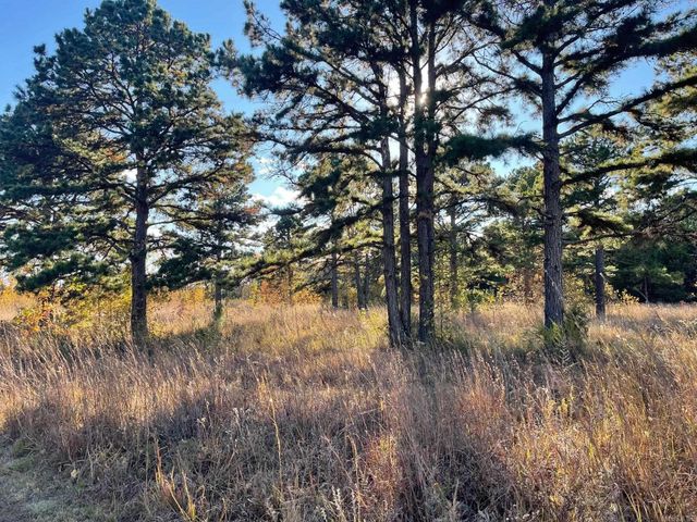 2173 Pleasant Grove Loop, Cleveland, AR 72030