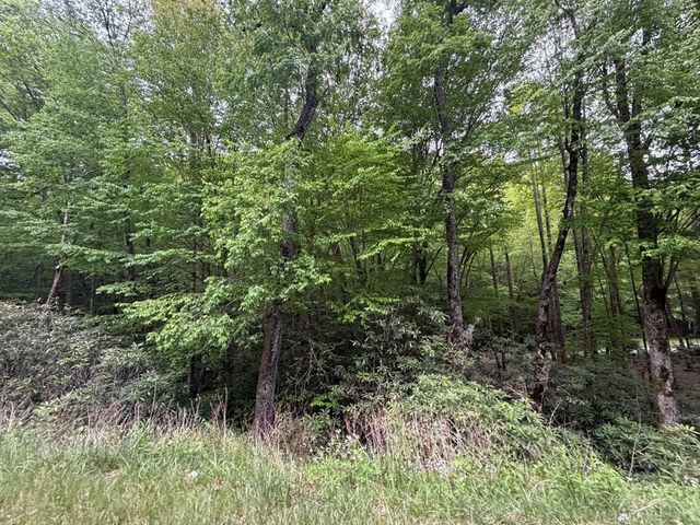 Lots9&17 Warrior Way, Andrews, NC 28901