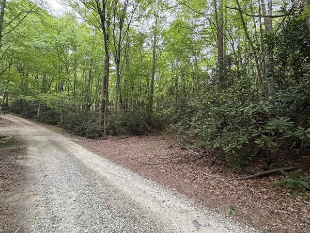 Lots9&17 Warrior Way, Andrews, NC 28901