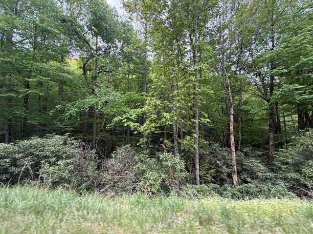 Lots9&17 Warrior Way, Andrews, NC 28901