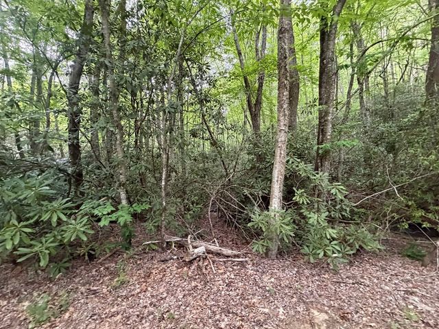 Lots9&17 Warrior Way, Andrews, NC 28901