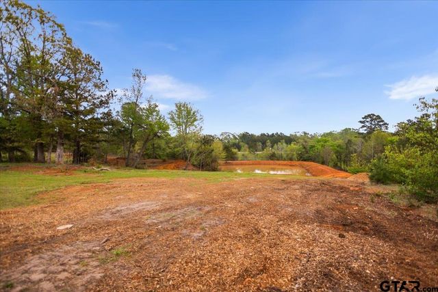 4123 County Road 1120, Tyler, TX 75704