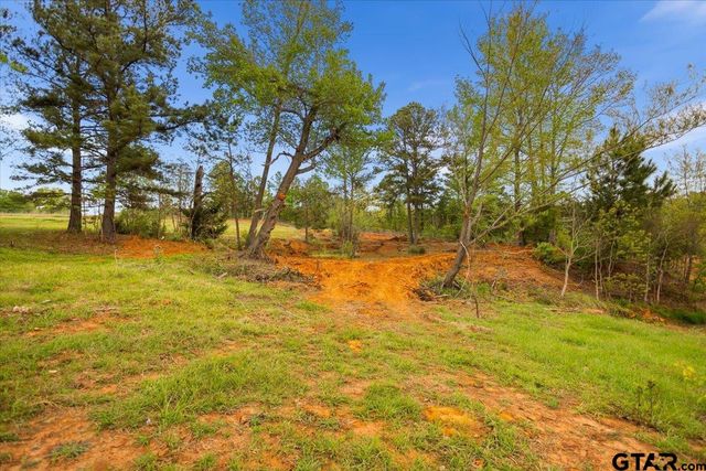 4123 County Road 1120, Tyler, TX 75704