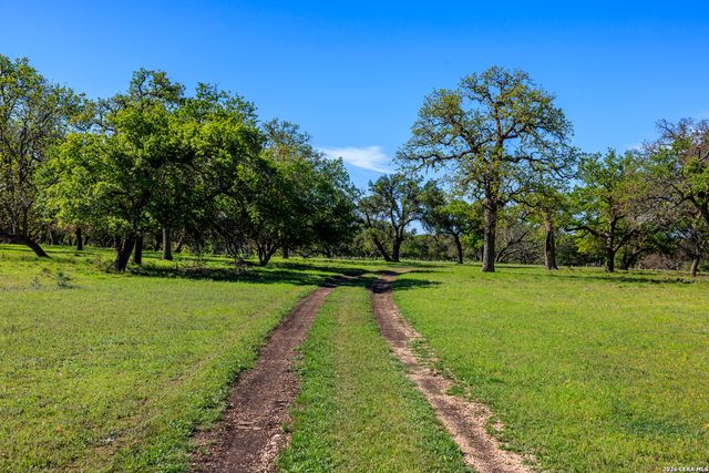 257 Dally, Fredericksburg, TX 78624
