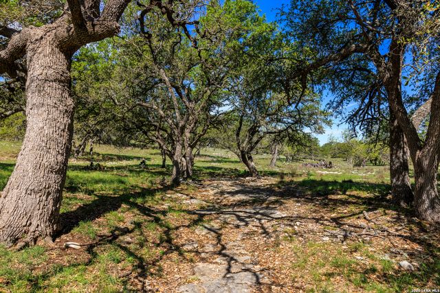257 Dally, Fredericksburg, TX 78624