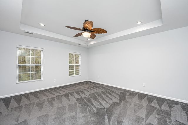 3808 Tupelo Branch Row, Mount Pleasant, SC 29429