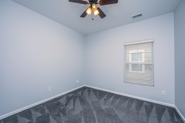 3808 Tupelo Branch Row, Mount Pleasant, SC 29429