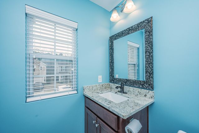 3808 Tupelo Branch Row, Mount Pleasant, SC 29429