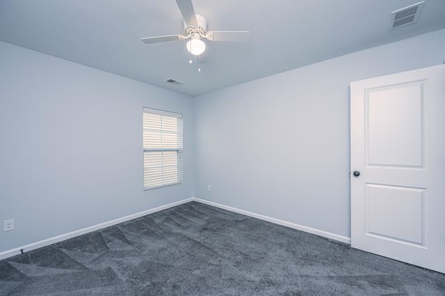 3808 Tupelo Branch Row, Mount Pleasant, SC 29429