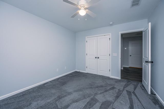 3808 Tupelo Branch Row, Mount Pleasant, SC 29429