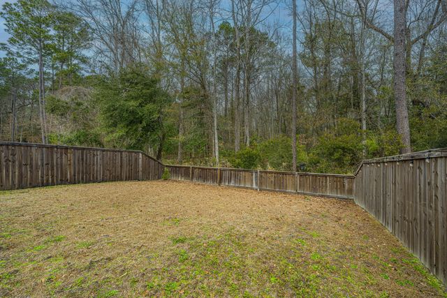 3808 Tupelo Branch Row, Mount Pleasant, SC 29429