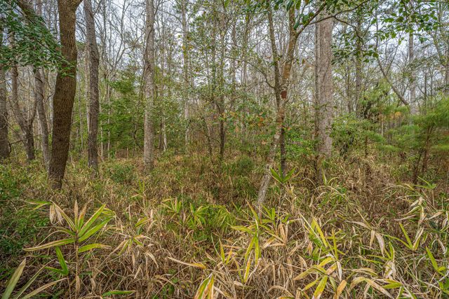 3808 Tupelo Branch Row, Mount Pleasant, SC 29429