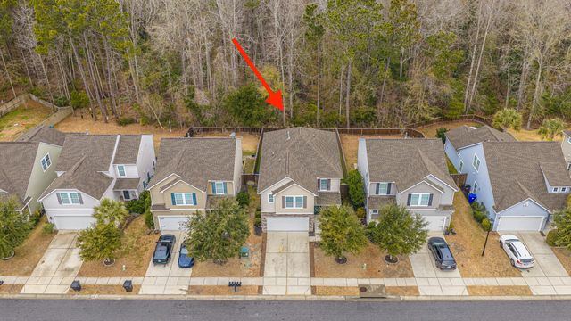 3808 Tupelo Branch Row, Mount Pleasant, SC 29429