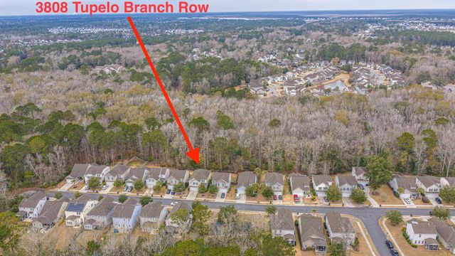 3808 Tupelo Branch Row, Mount Pleasant, SC 29429