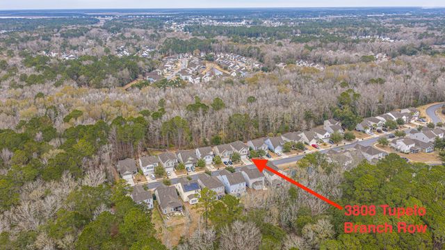 3808 Tupelo Branch Row, Mount Pleasant, SC 29429