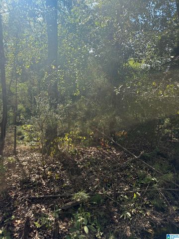 Lot 45 COUNTY ROAD 264, Wedowee, AL 36278