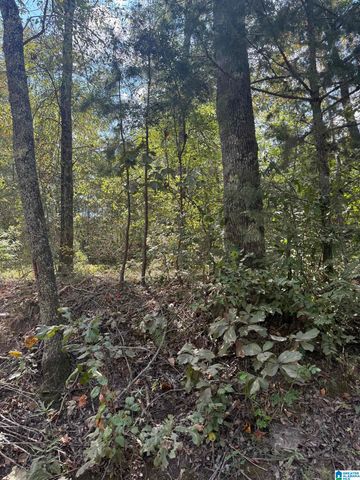 Lot 45 COUNTY ROAD 264, Wedowee, AL 36278