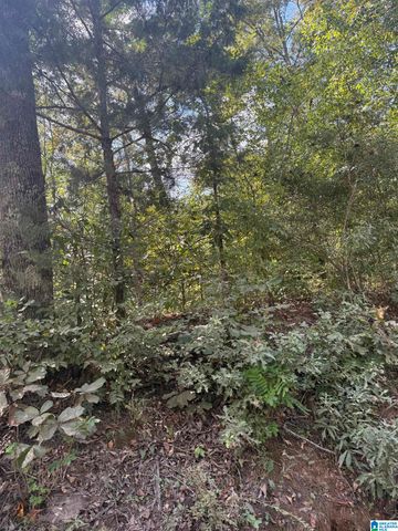 Lot 45 COUNTY ROAD 264, Wedowee, AL 36278