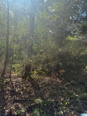 Lot 45 COUNTY ROAD 264, Wedowee, AL 36278