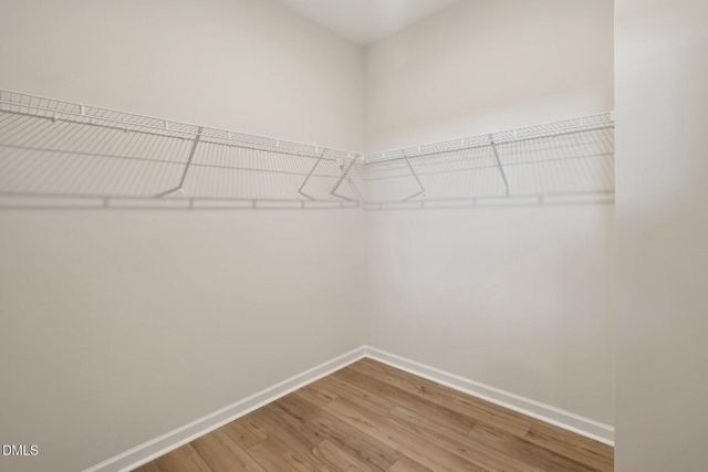 203 Pintail Drive, Goldsboro, NC 27530