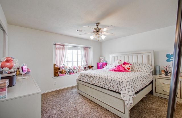 19907 Drake Shadows Lane, Katy, TX 77449