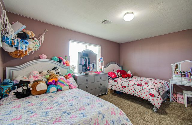 19907 Drake Shadows Lane, Katy, TX 77449