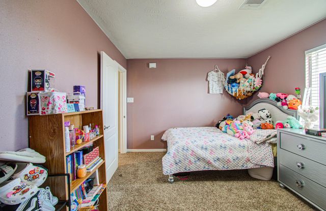 19907 Drake Shadows Lane, Katy, TX 77449