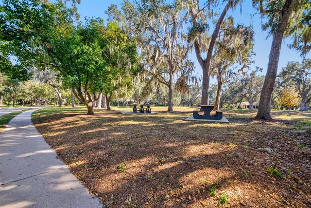 306 CARRIAGE OAK PLACE, Seffner, FL 33584