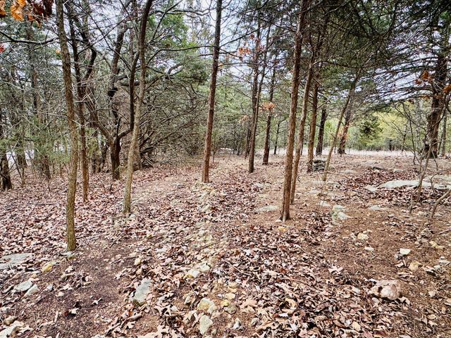 17140 S 1457 Road, Stockton, MO 65785