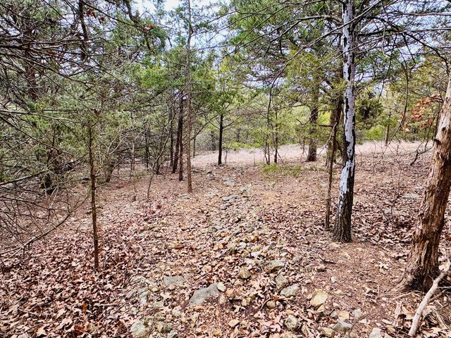 17140 S 1457 Road, Stockton, MO 65785