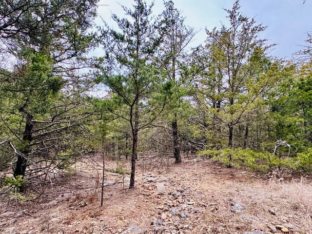 17140 S 1457 Road, Stockton, MO 65785