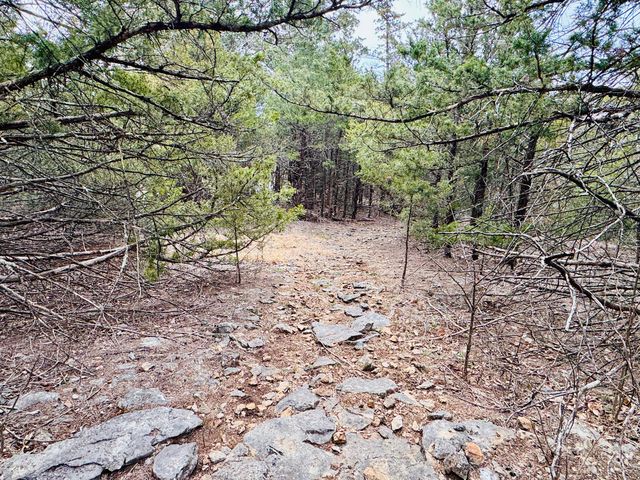 17140 S 1457 Road, Stockton, MO 65785