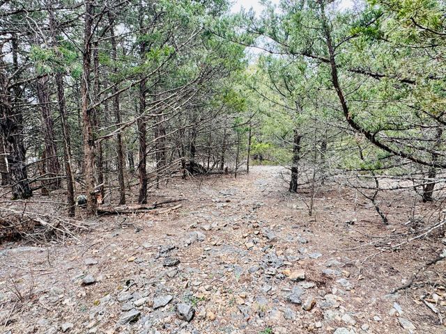 17140 S 1457 Road, Stockton, MO 65785