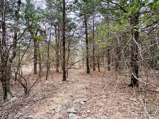 17140 S 1457 Road, Stockton, MO 65785