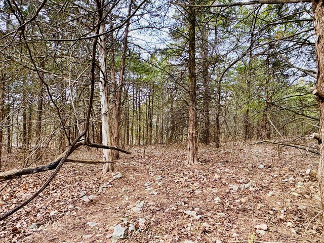 17140 S 1457 Road, Stockton, MO 65785