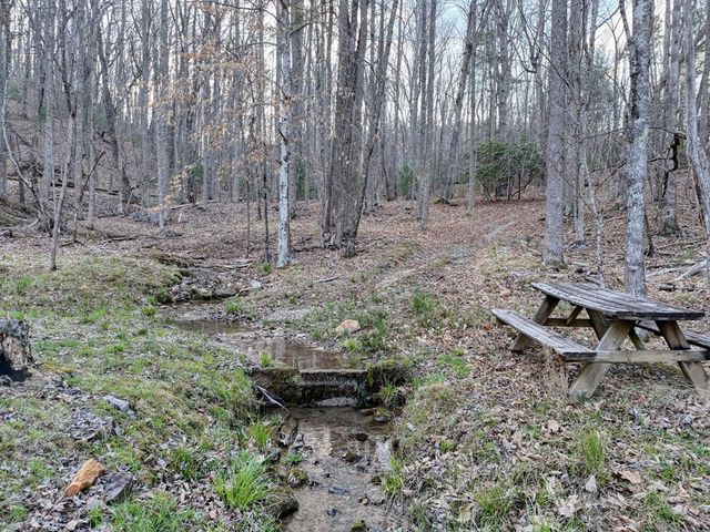 633 Timber Ridge Road, Blairsville, GA 30512