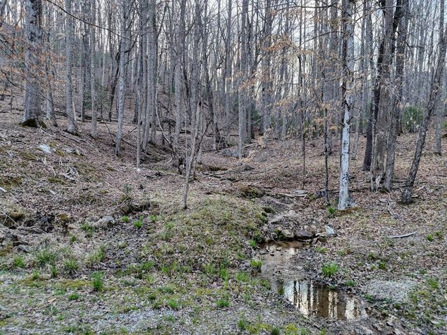 633 Timber Ridge Road, Blairsville, GA 30512